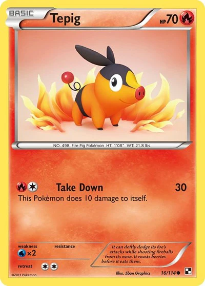 BLW: Tepig (16)