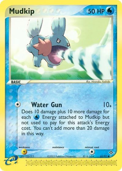 DR: Mudkip (Reverse Holofoil)