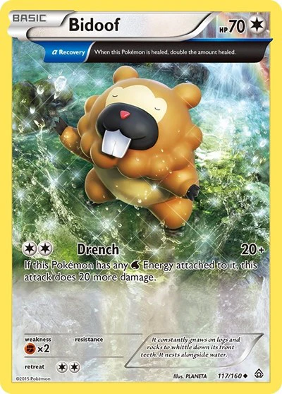 PRC: Bidoof (Alpha)