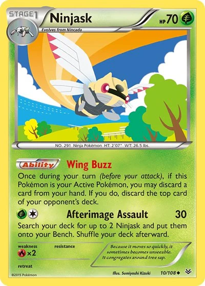 ROS: Ninjask