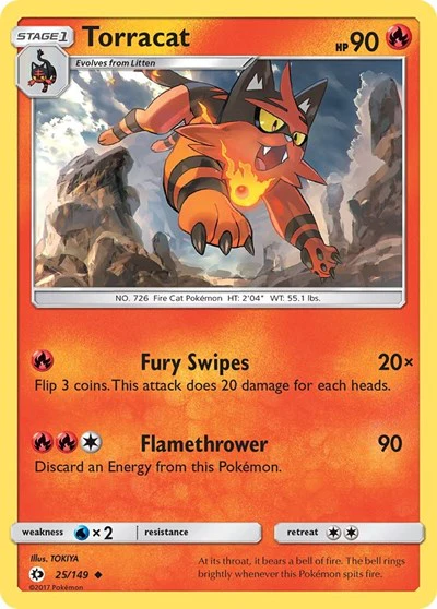 SM01: Torracat