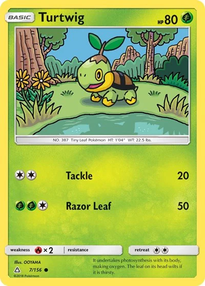 SM05: Turtwig (7)