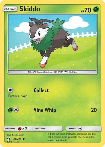 SM8: Skiddo