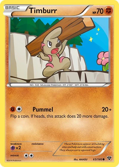 XY: Timburr
